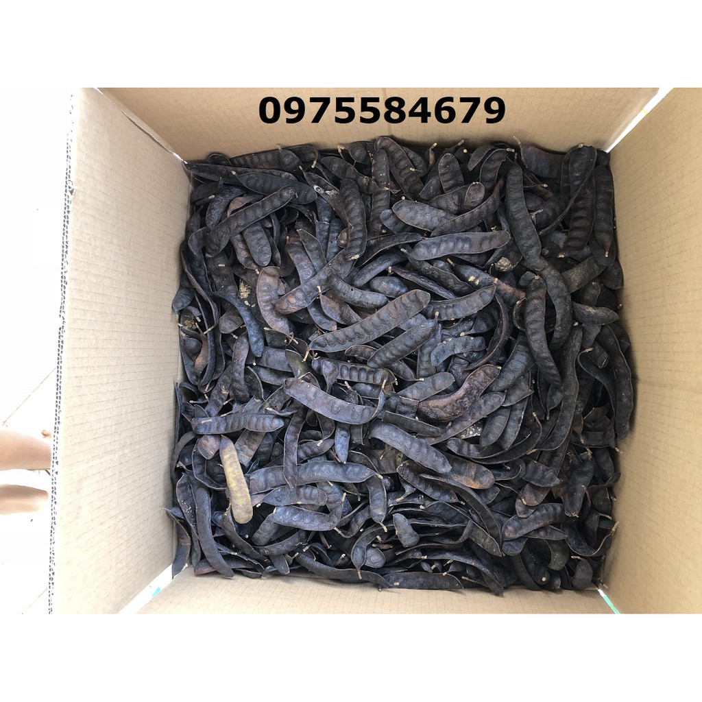 [1KG] BỒ KẾT CHUẨN XUẤT KHẨU Bồ kết nguyên trái- hình thật hàng xuất khẩu | BigBuy360 - bigbuy360.vn