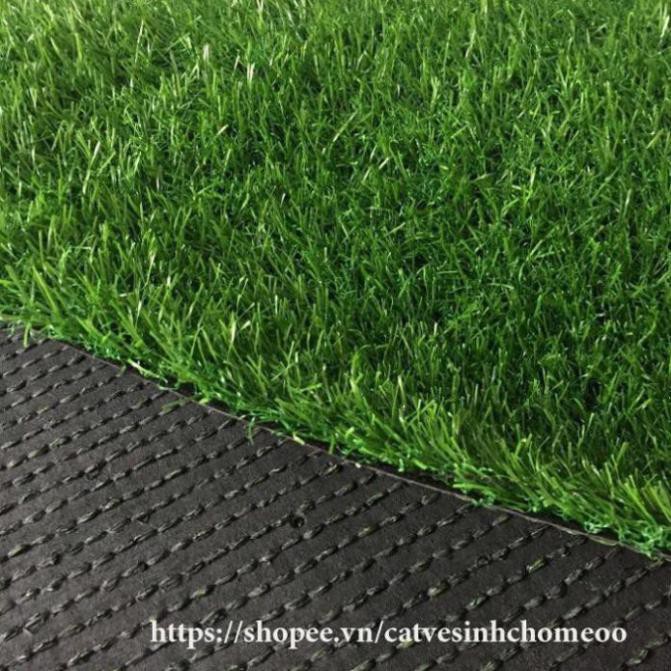 Cỏ nhựa nhân tạo 2cm