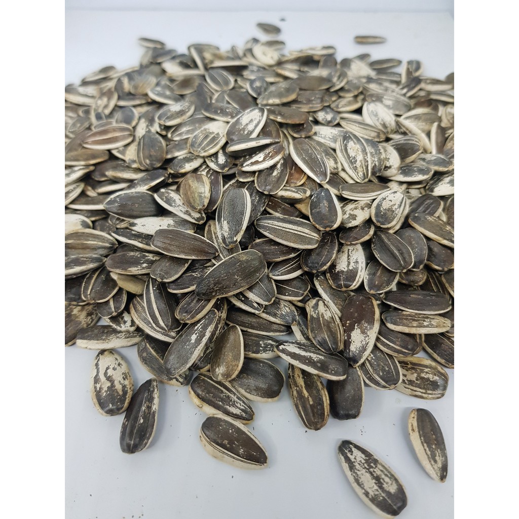 Hạt hướng dương sọc lớn đóng gói 500g, 1kg