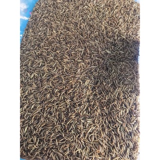 Sâu khô/sâu dinh dưỡng cho hamter