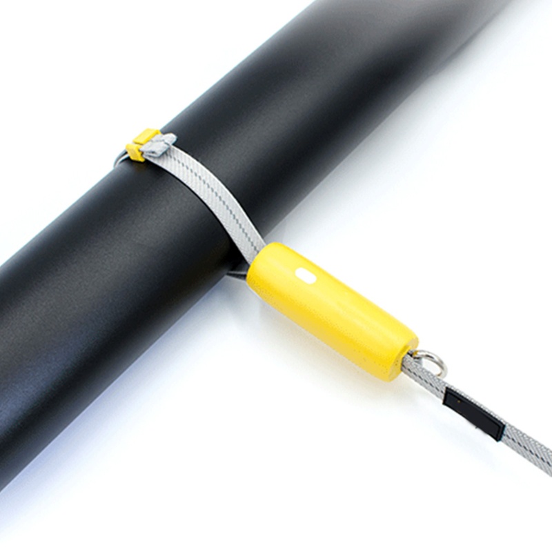 Dây Dắt Thú Cưng Đi Dạo Tự Động Chống Trượt Có Thể Điều Chỉnh Kích Thước