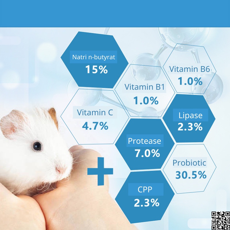 Viên nén probiotic (men tiêu hóa) Runaround cho hamster, thỏ, bọ, chinchilla và thú cưng nhỏ khác