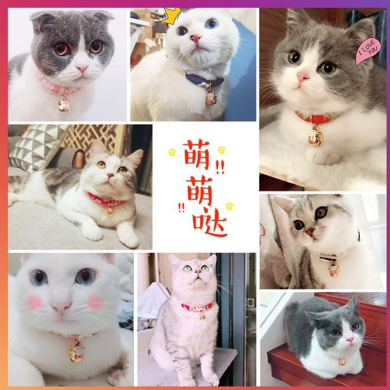 [FREESHIP] Vòng cổ cho mèo, Vòng Cổ Cho Chó Mèo, Kèm Chuông, màu sắc dễ thương, phong cách Nhật Bane Cute - Petlover