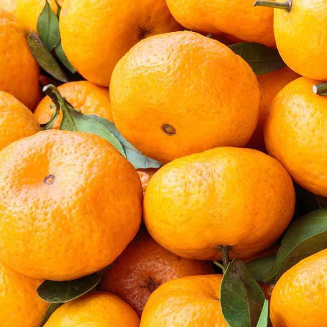 Tinh Dầu Thiên Nhiên Nguyên Chất 100% Hương Quýt Tươi Nomad Essential Oils Tangerine