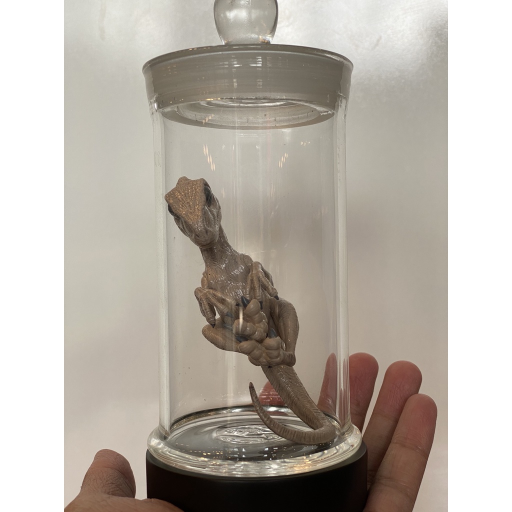 Mô hình lọ phôi Velociraptor chính hãng Rebor