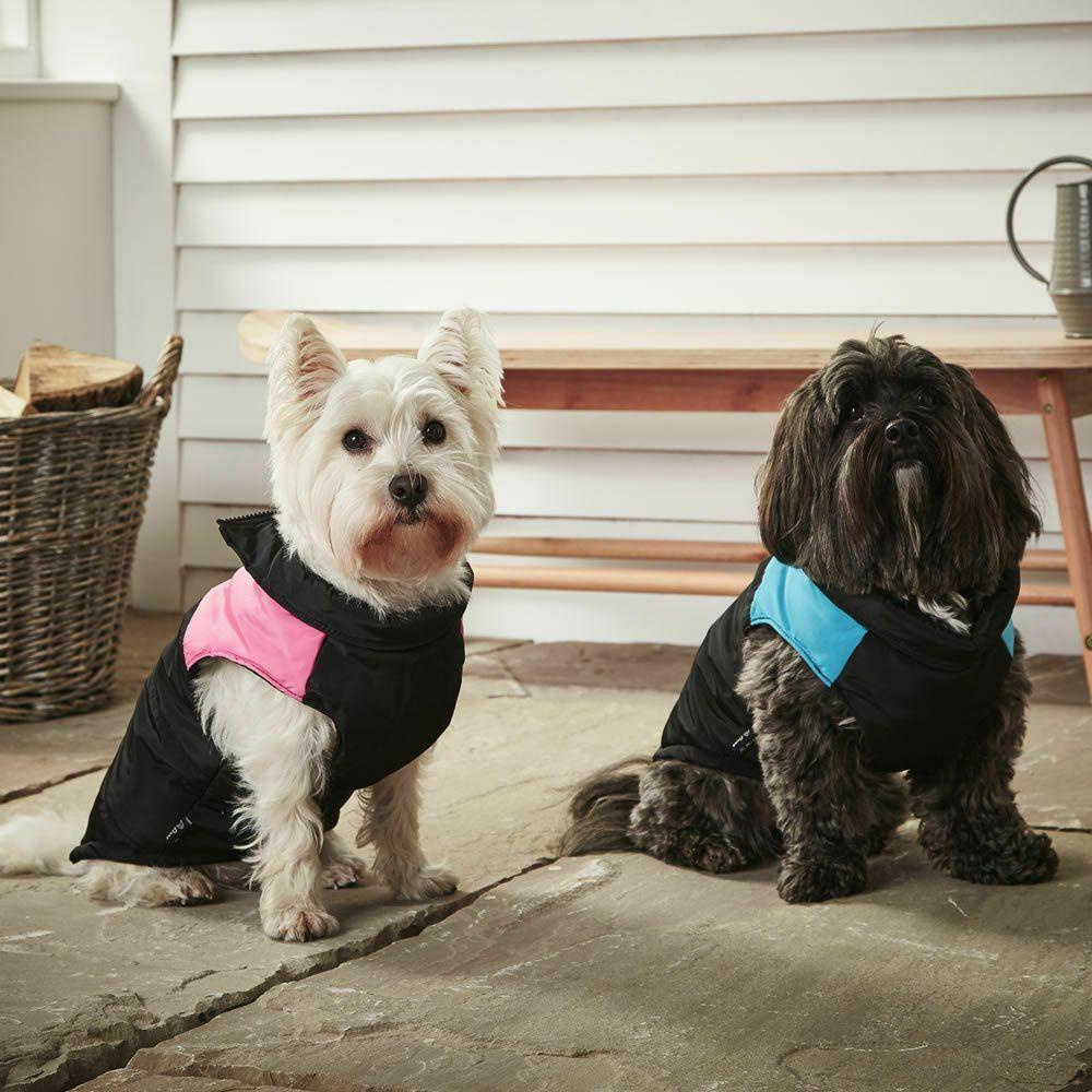 Áo Khoác Phao Dày Dặn Thời Trang Cho Thú Cưng