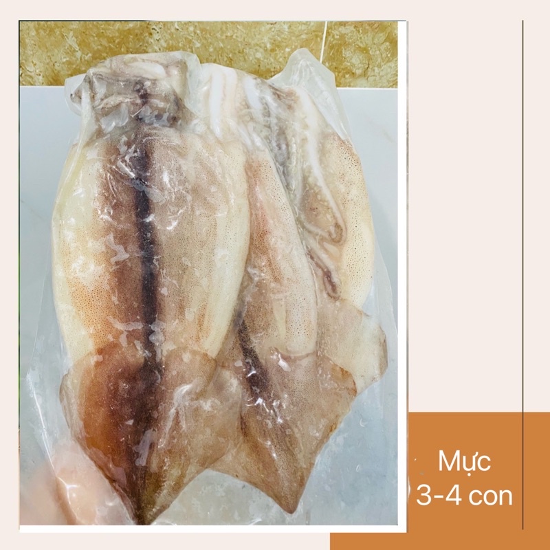 MỰC 1 NẮNG (bịch 3-4 con) ngon dai rất ngọt ( SHIP HOẢ TỐC SG)