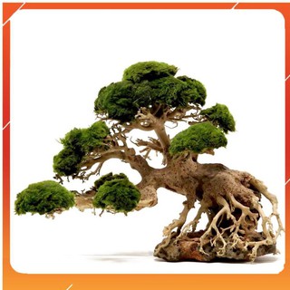 [Siêu Rẻ] Lũa Bonsai mini cho bể cá thủy sinh [TS Online37]