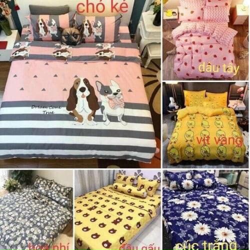 Ga Gối Polly Cotton m6 hoặc m8 (Giao màu ngẫu nhiên)