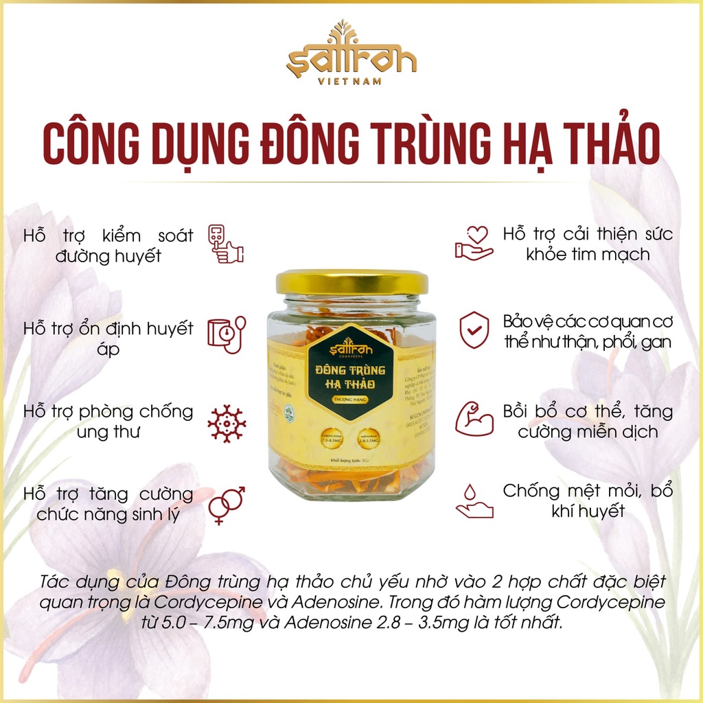 Đông Trùng Hạ Thảo Sấy Lạnh 5Gram/lọ thương hiệu Saffron Việt Nam