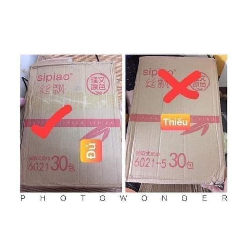 Giấy ăn gấu trúc