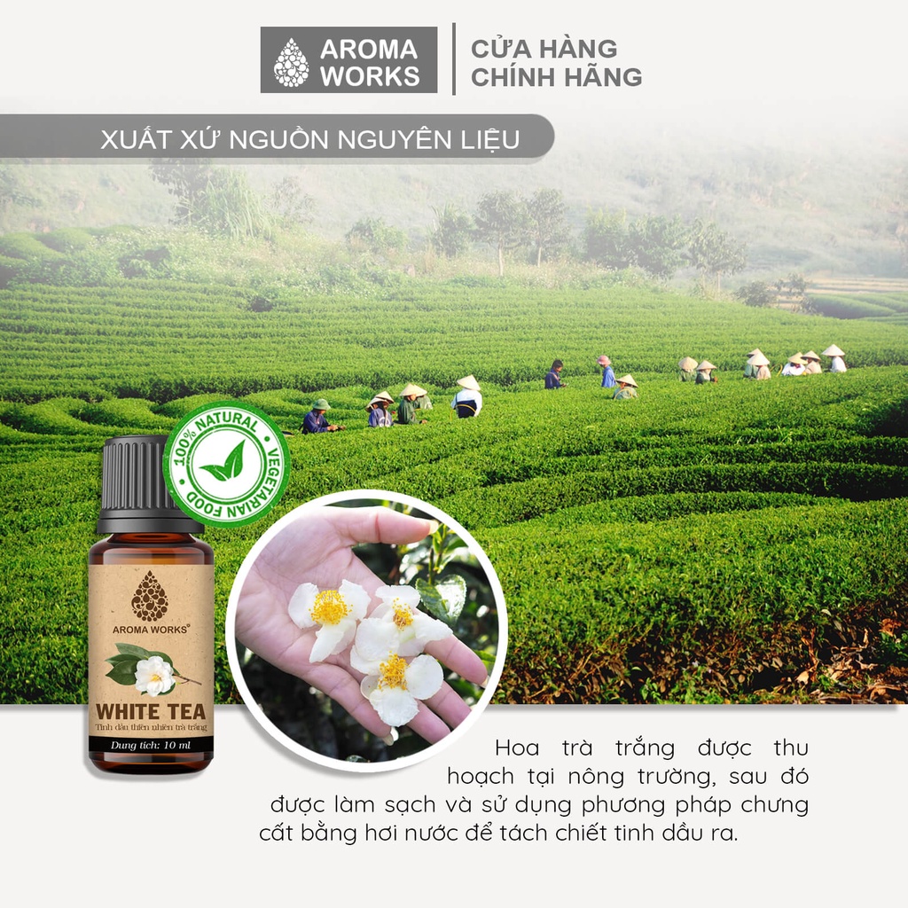 Tinh Dầu Trà Trắng Nguyên Chất 100% Aroma Works Essential Oil White Tea