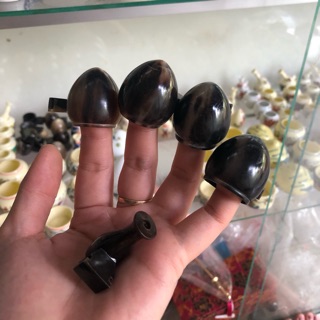 Cóng sừng châu phi đựng thức ăn cho khuyên 2 dáng nhọn và chum phù hợp mọi sz lồng khuyên
