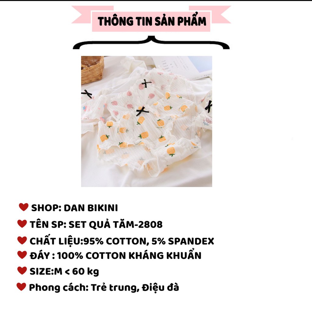 Quần Lót Nữ ❤️FREESHIP❤️ Quần Lót Cotton gân tăm cao cấp xuất Nhật ❤️Quần Lót kháng khuẩn mềm mại lên dáng sexy mã 2808