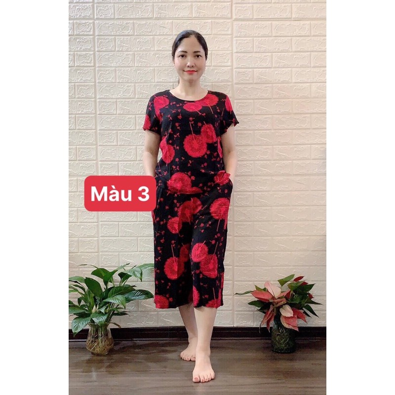 ❤️❤️BỘ LANH ĐẠI ỐNG SỚ ANH THƯ | BigBuy360 - bigbuy360.vn