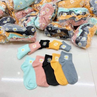 Tất Hoa Cúc, Sét 10 Đôi Tất Hoa Cúc Siêu Xinh, Tất Hoa Cúc Nữ ( pkt.Shop )