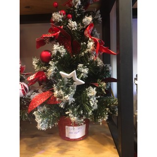(big sale)Trang trí Noel- Cây Thông mini
