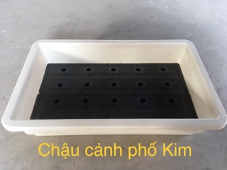 Combo 10 khay trồng rau thông minh