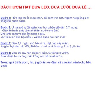 Hạt giống cây Dưa lê vàng Hàn Quốc (10 hạt)