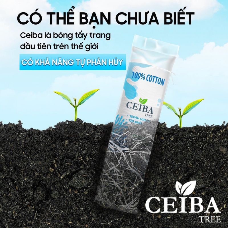 Bông Tẩy Trang Hữu Cơ Organic Ceiba Tree 80 miếng