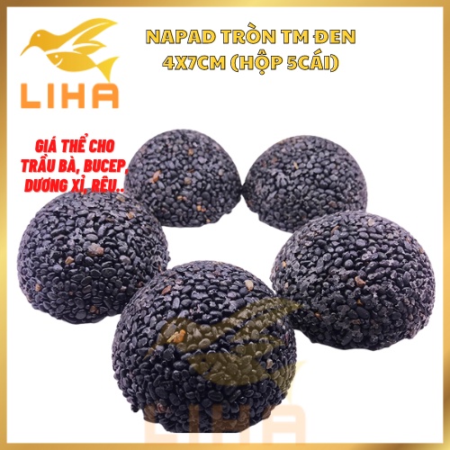 Napad Tròn TM Đen 4x7cm (Hộp 5cái) - Giá Thể Cho Trầu Bà, Bucep, Dương Xỉ, Rêu....Thủy Mộc