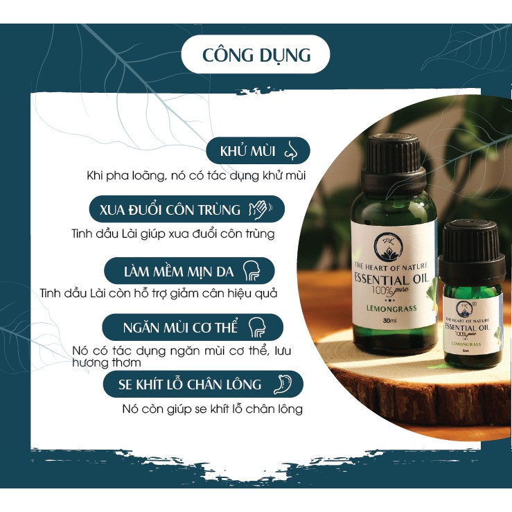 Tinh dầu hoa Nhài PK 5ml/10ml, chăm sóc da, se khít lỗ chân lông