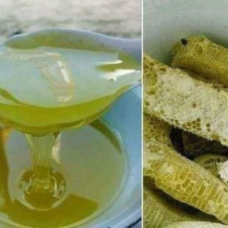 Mật ong bạc hà