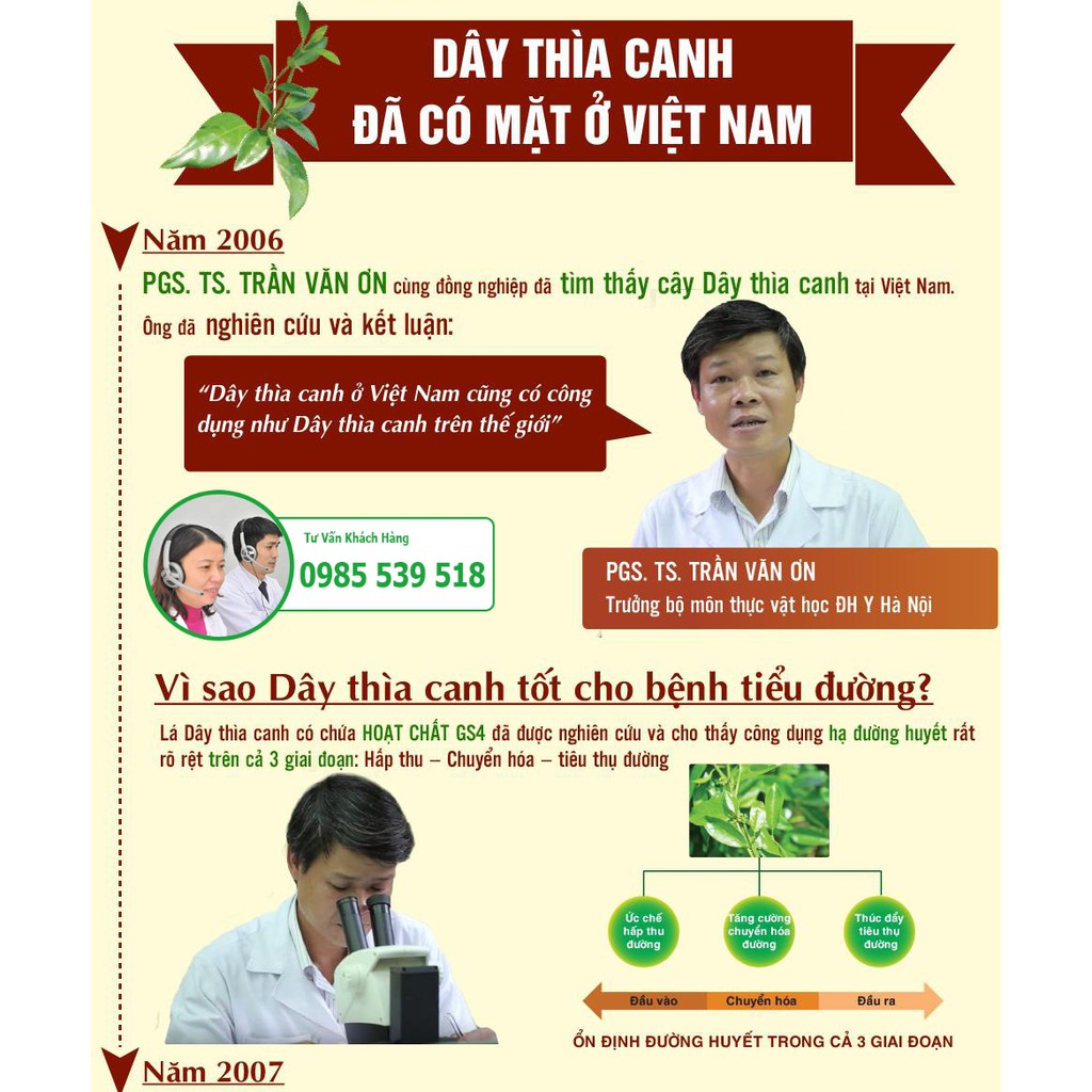 Cao Tiểu Đường Dây Thìa Canh Chuẩn Sạch - Hàng CTy