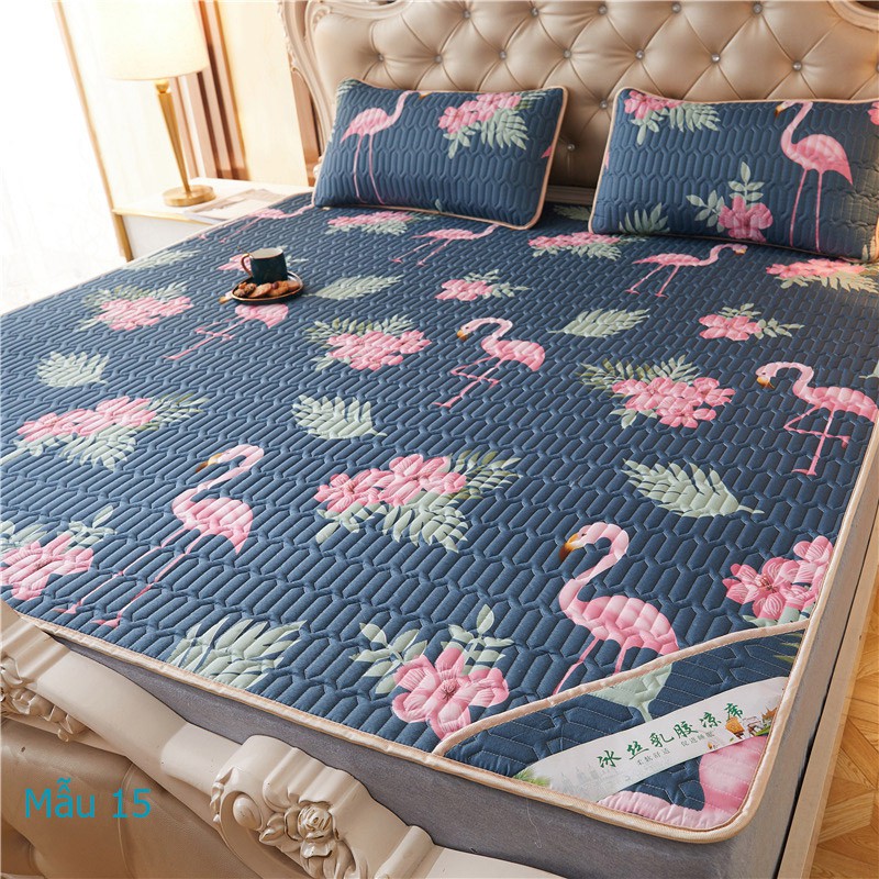 CHIẾU ĐIỀU HÒA TENCEL MỦ SAO SU NON
