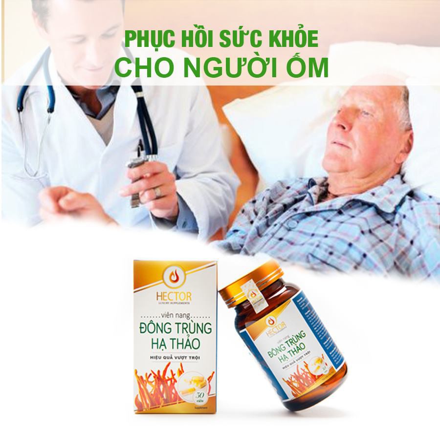 Đông Trùng Hạ Thảo Hector 100% nguyên chất 30Vien