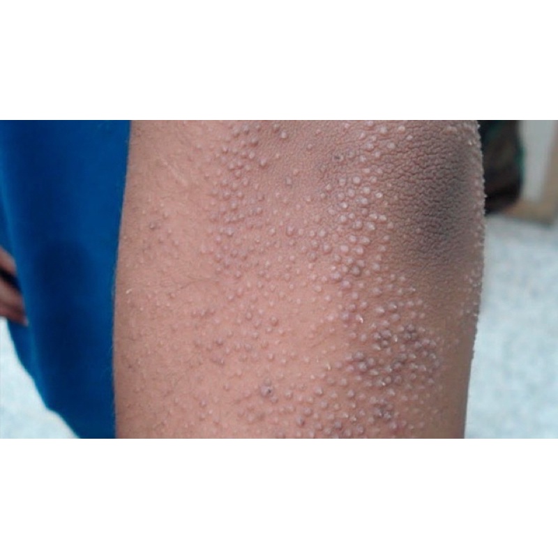 Sữa Tắm Quatid Chính Hãng