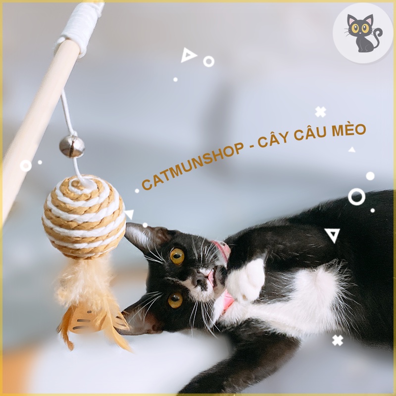 Cần câu mèo cán gỗ