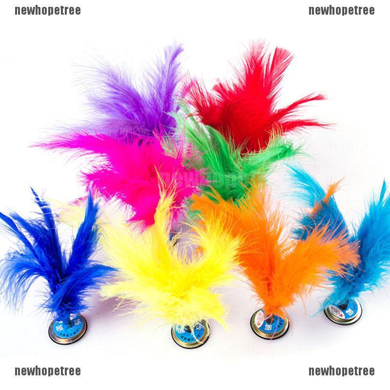 Cầu đá lông sặc sỡ