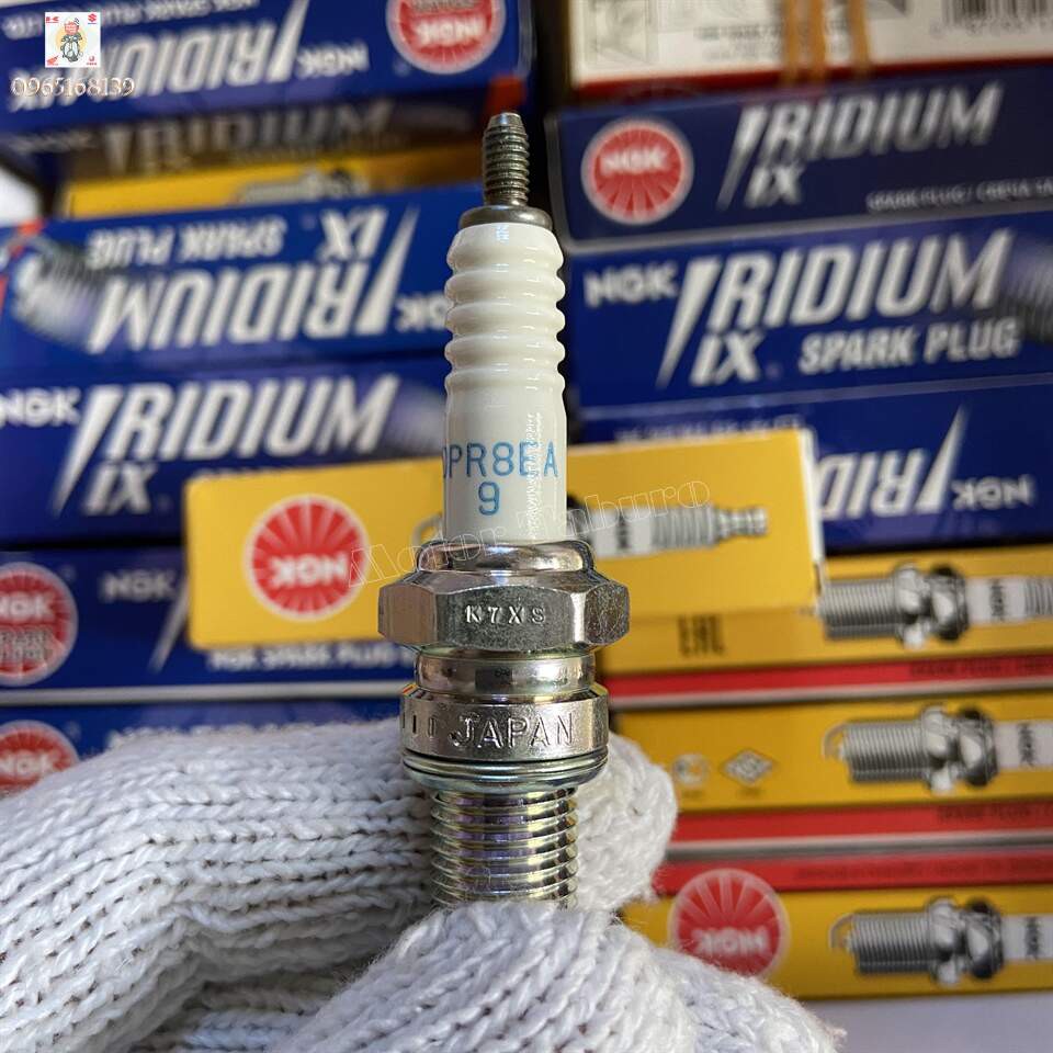 Bugi NGK Standard DPR8EA-9