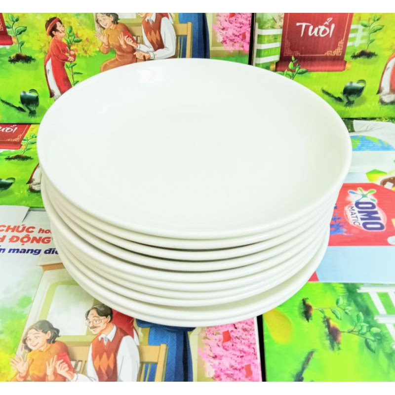 Bộ 10 dĩa sứ 8 inch ( 20.5cm)