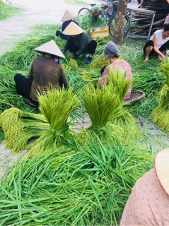 Cốm mộc