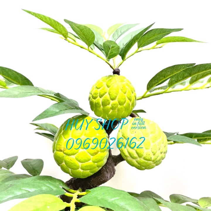 CHẬU CÂY TRÁI MÃNG CẦU NHÂN TẠO SỐ 1 TRANG TRÍ NHÀ CỬA