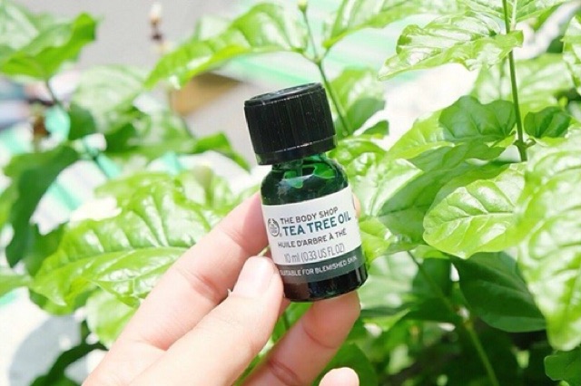 TINH DẦU TRÀM TRÀ THE BODY SHOP TEA TREE OIL 10ML CHÍNH HÃNG