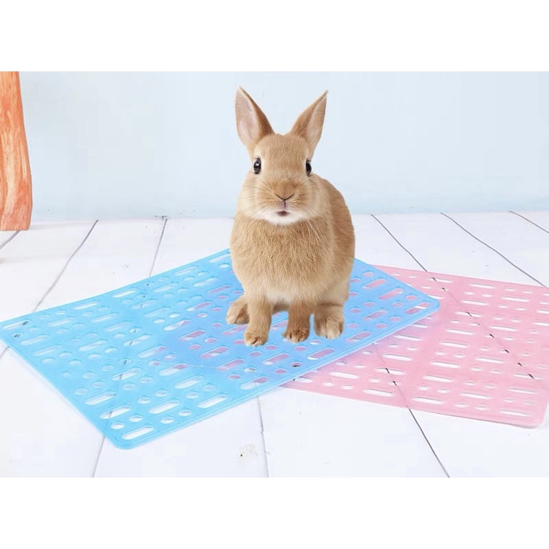 tấm lót nhựa ( miếng lót sàn) cứng cho thỏ, bọ, sóc bắc mỹ đỡ đau chân Jessie