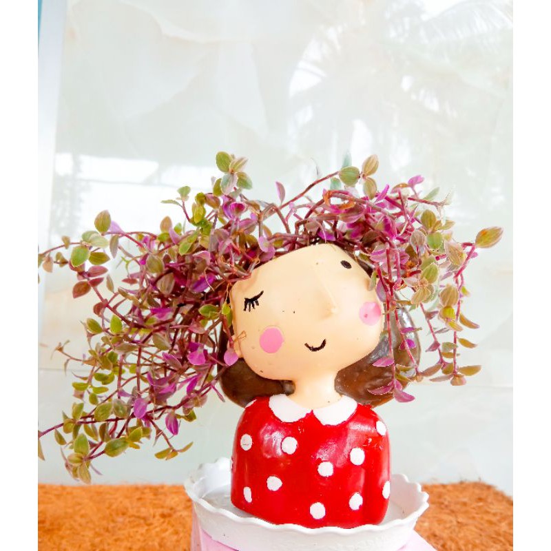 Chậu Thú Composite Đã Mix Cây