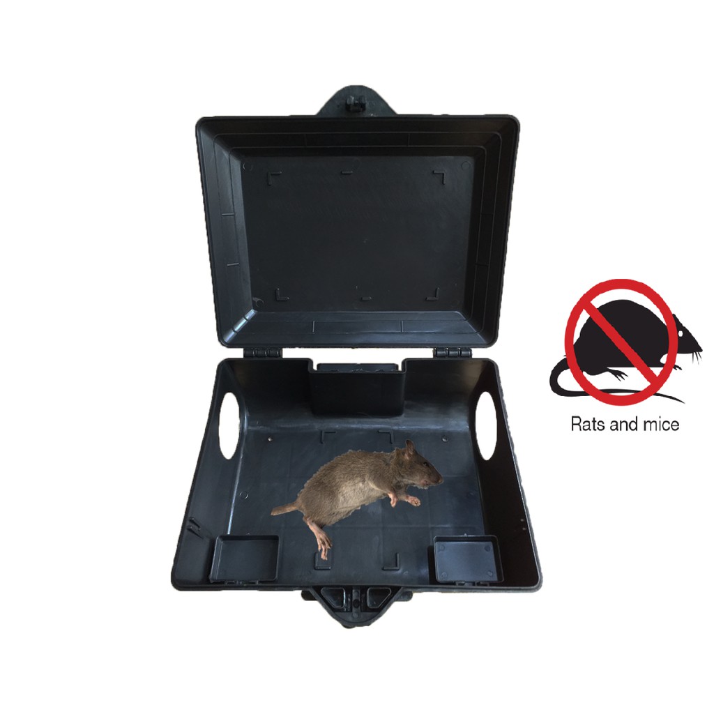 Hộp Bẫy chuột chuyên dụng, Hộp bẫy chuột 29cm x 21cm x 12cm