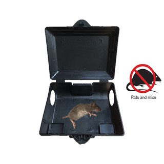 Hộp Bẫy chuột chuyên dụng, Hộp bẫy chuột 29cm x 21cm x 12cm