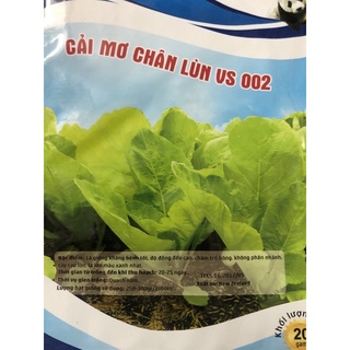Hạt giống Cải Mơ Đăm (chân lùn) 20gr