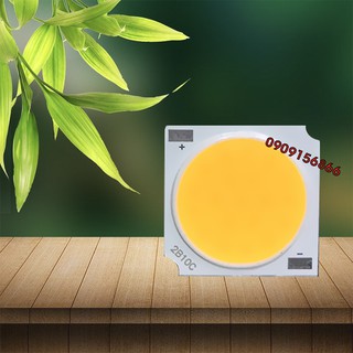 Mắt led cob 10w