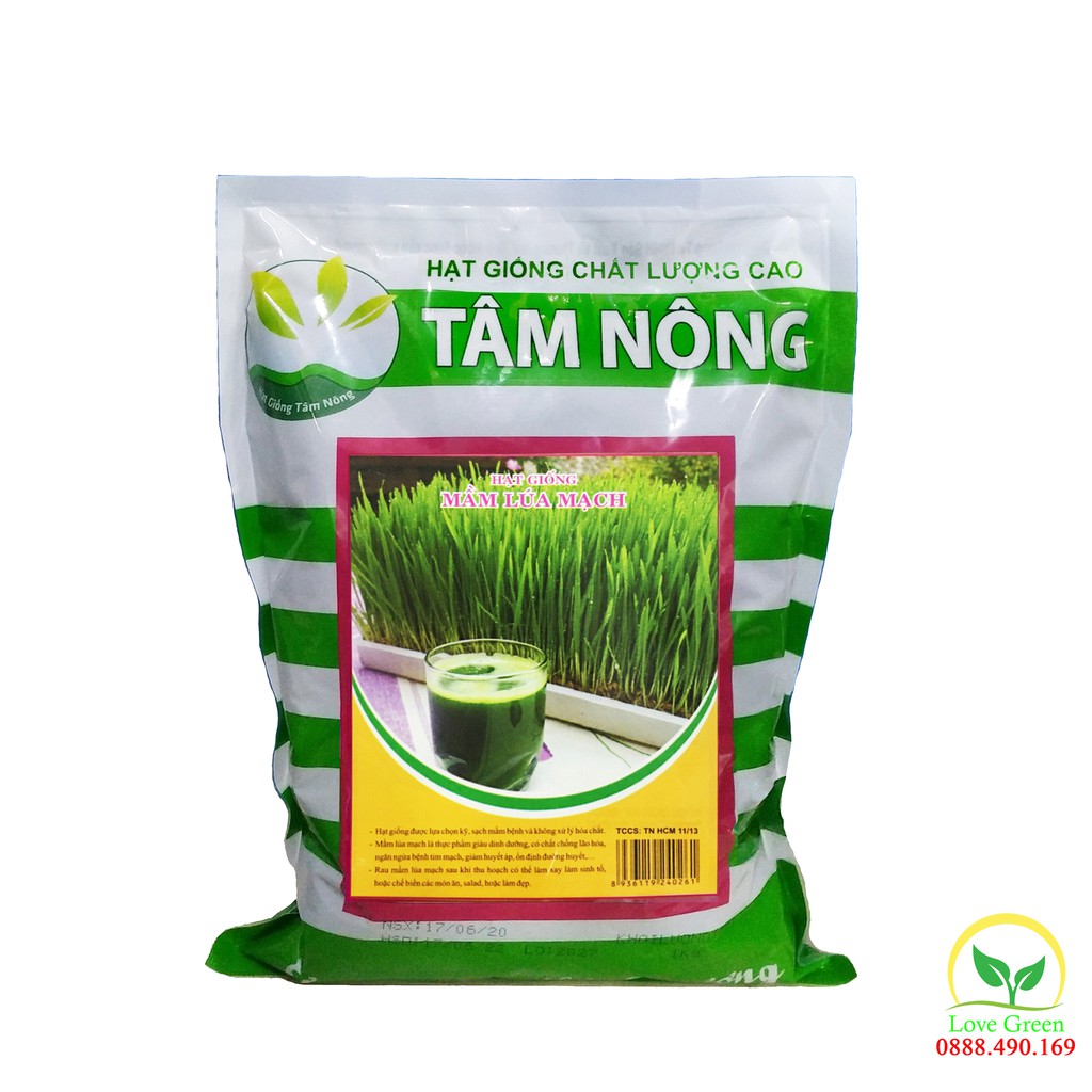 Hạt Giống Mầm Lúa Mạch Dễ Trồng, Giàu Dinh Dưỡng, Dưỡng Da, Chống Lão Hóa, Tốt Cho Tim Mạch