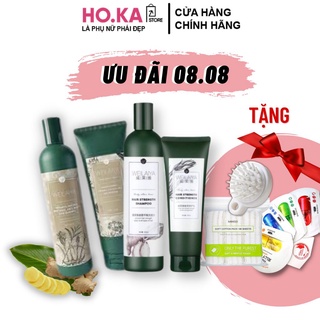 Dầu Gội Mọc Tóc Weilaiya Chính Hãng Hoka Store Dầu Gội Gừng Giảm Rụng Tóc Và Giúp Mọc Tóc 400ml (GỘI + XẢ)