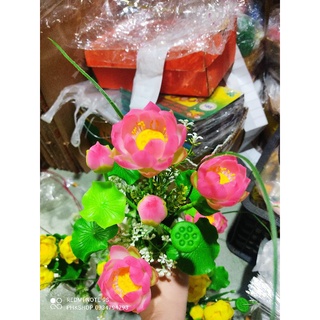 Chậu Sen đất sét ~30cm thành phẩm luôn chậu