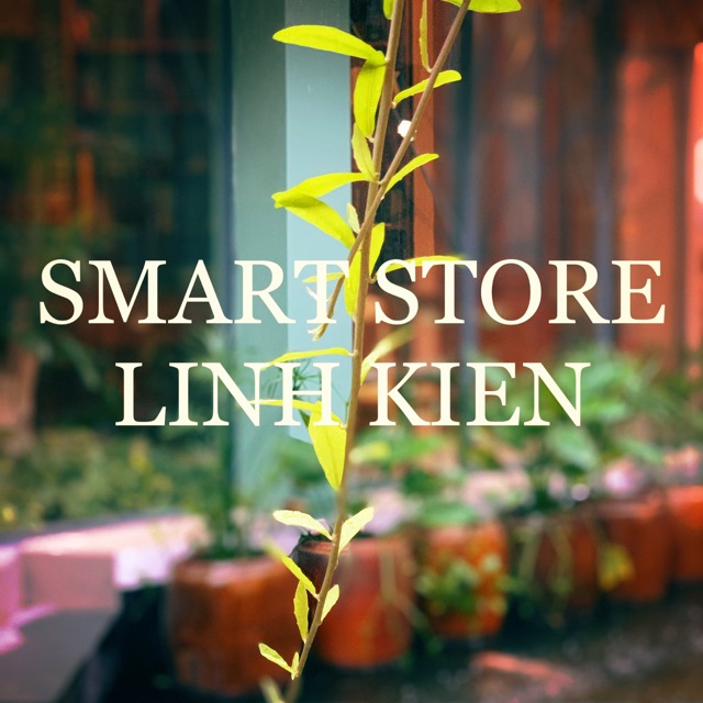linhkiensmart