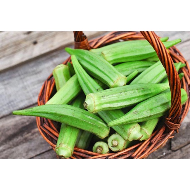 Hạt Giống ĐẬU BẮP CAO SẢN HN-26 (20 Gr)