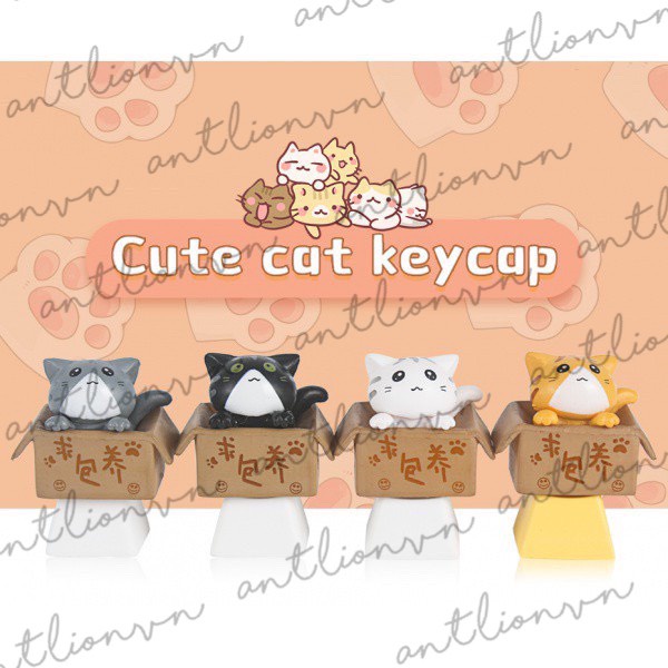 Keycap lẻ Mèo Con Trong Hộp siêu dễ thương Lionvn